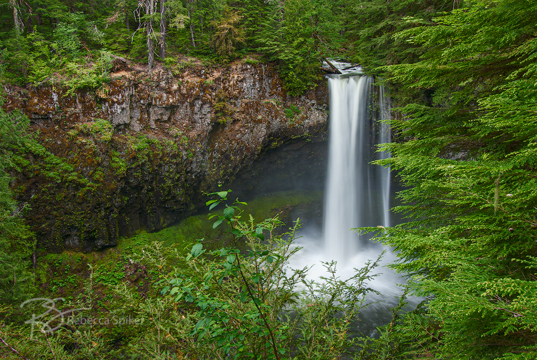 Big Creek Falls amidst beautiful old-growth forest within the Gifford Pinchot National Forest in Washington State.