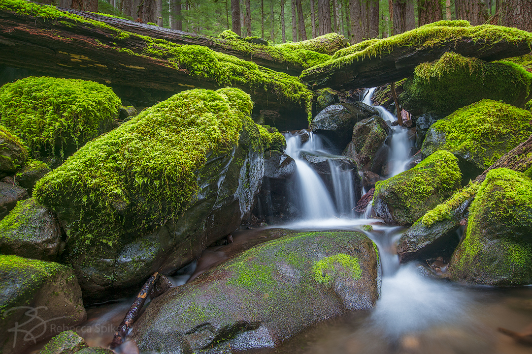 A small tributary of the Sol Duc River in Olympic National Park as it winds its way through large boulders and fallen old-growth timber.