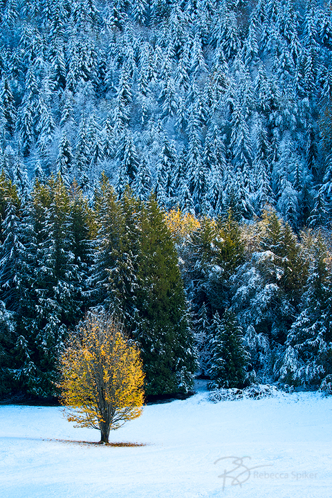 An early-season dusting of snow marks the change in seasons.