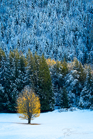 An early-season dusting of snow marks the change in seasons.