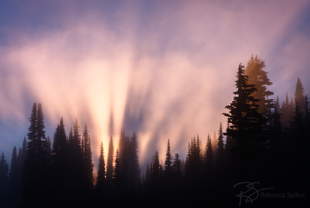 A spectacular display of crepuscular rays light up the late-day sky at Paradise in Mount Rainier National Park.